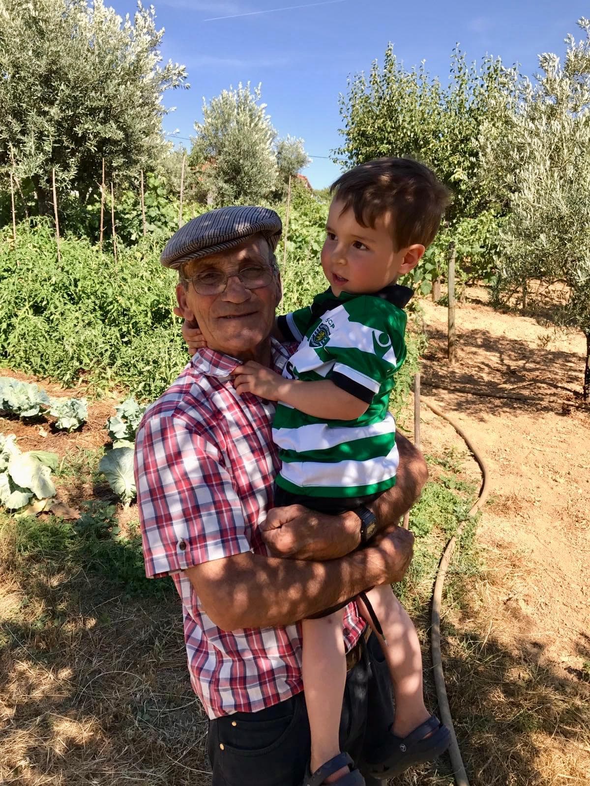 Farm in Portugal